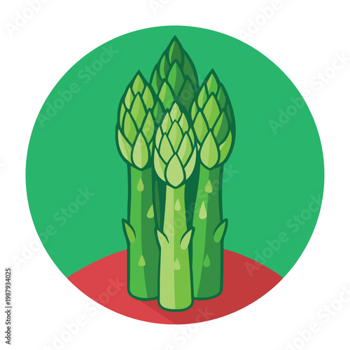 Cartoon bunch of green asparagus in circle frame with green background and red ground  illustration of healthy vegetable