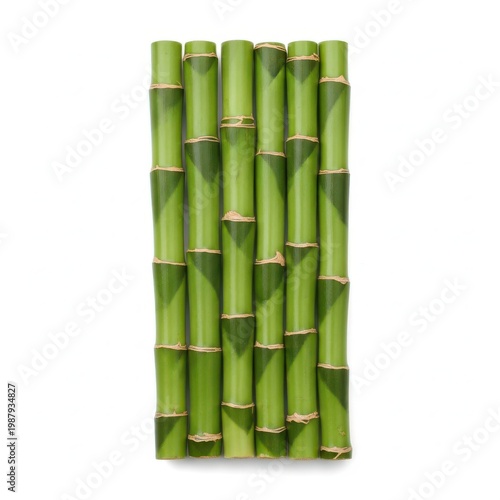 A bundle of fresh green bamboo stalks arranged neatly on a white background
