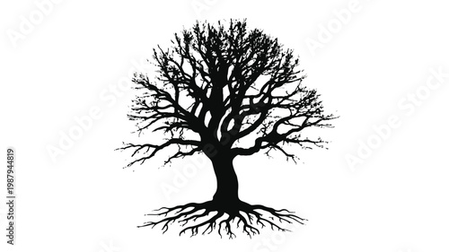 Silhouette of Resilience: A stark silhouette of a solitary tree stands tall, its intricate branches reaching upwards, a symbol of strength and endurance against the sky.