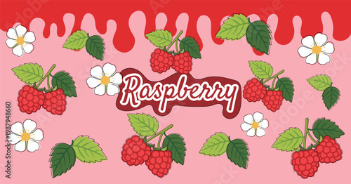 Fruit Raspberry Illustration Packaging Pattern