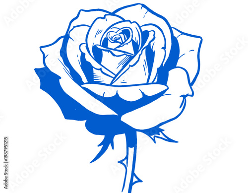 rose flower, barbed wire, blue line art, tattoo flash, edgy aesthetic, streetwear design, floral illustration, punk, emo, graphic