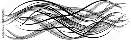 Black Lines Waves Isolated on White Background