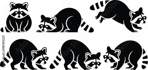 Set of six black silhouette raccoons in various poses isolated on white background striped tail animal lover wildlife silhouette collection