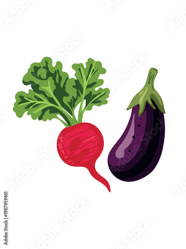 healthy food composition radish with eggplant isolated on white background