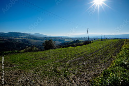 Green fields with power lines under bright sun in Italy