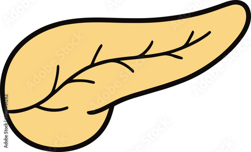 Human Organ Flat Illustration