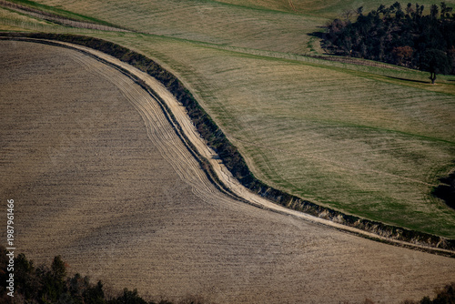 Curved dirt road dividing cultivated fields in Italy