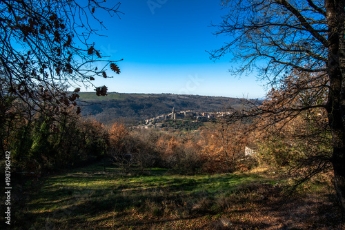 Hilltop village framed by trees in Italian countryside