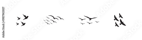 Set of a flock of birds silhouetted. Group of birds in scattered flight. Flying bird isolated on white background.