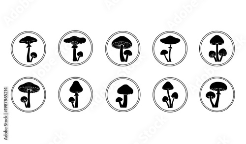 Mushroom silhouettes in circular frames vector set with modern botanical design