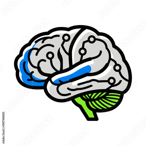 Brain with blue and green details.