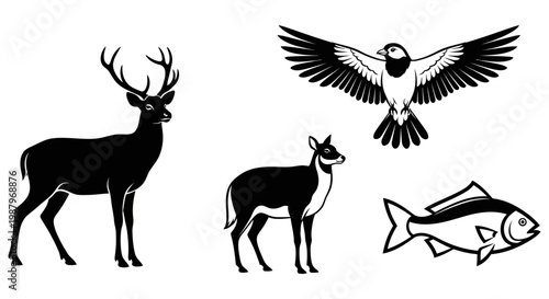 Silhouette illustrations featuring a deer bird and a swimming fish
