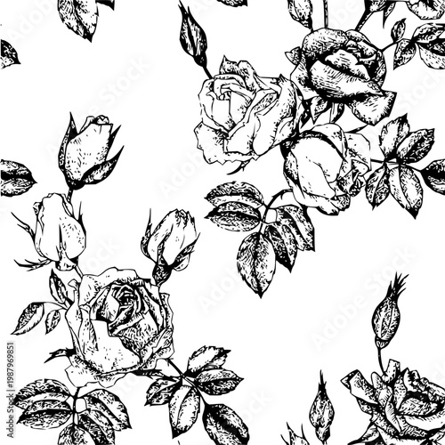 Hand-drawn sketch of roses and buds in black and white on a white background, showcasing intricate floral details and delicate petals