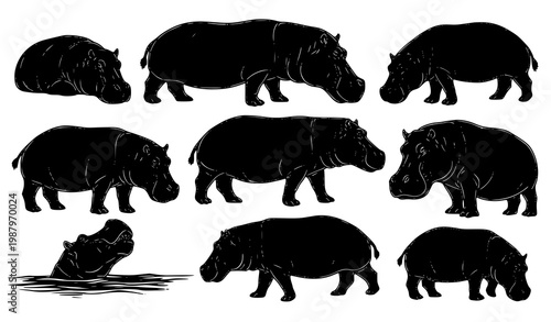 Artistic hand drawn hippopotamus silhouettes vector set ink style wildlife illustration isolated on white