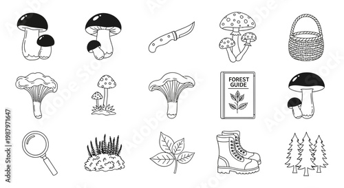 Collection of hand drawn mushrooms and hiking equipment vector icons set