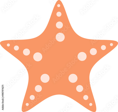 열대 바다에서 볼 수 있는 불가사리 