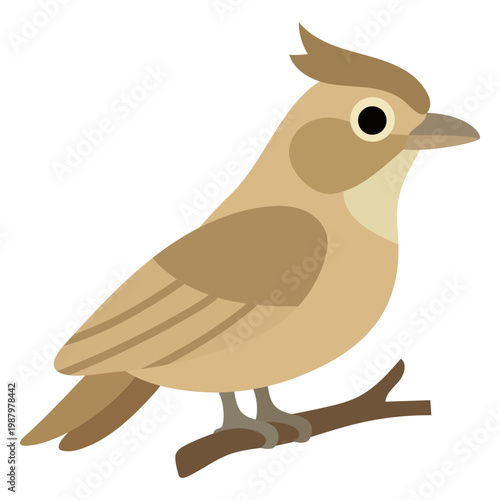 Lark bird perched on a branch. Early bird concept representing morning person chronotype. Small wild animal illustration for ornithology study and biological research of sleep habits