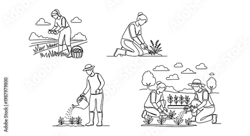 Line art illustration depicting women gardening and tending to plants
