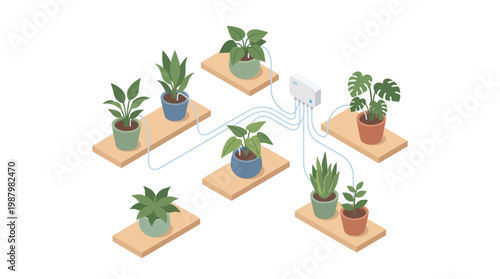 Isometric illustration of indoor plants connected to an automatic watering system