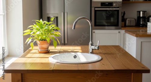 Kitchen island, wooden countertop, white sink, modern kitchen
