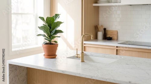 Modern kitchen countertop, marble, gold faucet, potted plant, bright interior
