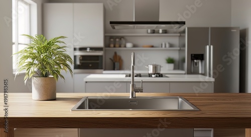 Modern kitchen, stainless steel sink, wooden countertop, sleek appliances, interior design