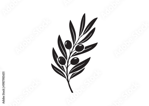 Olive Branch icon, Olive Branch Silhouette vector