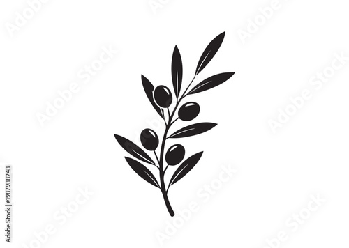Olive Branch icon, Olive Branch Silhouette vector