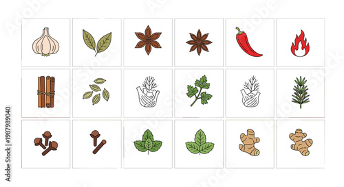 Clean grid of spice and herb icons including garlic, chili, cinnamon, and ginger for culinary and recipe themes.