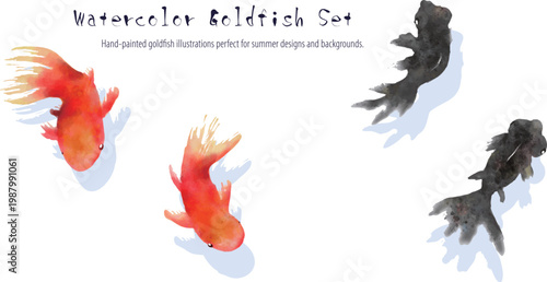 Watercolor goldfish isolated set, Japanese style koi fish illustration, summer aquatic clipart, transparent background