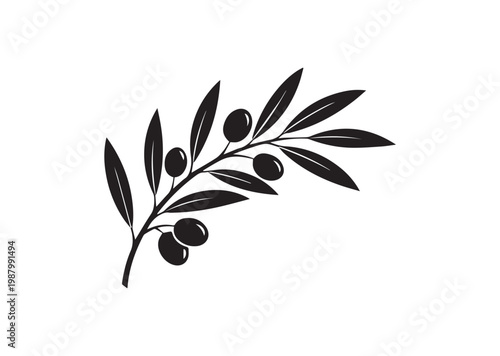 Olive Branch icon, Olive Branch Silhouette vector