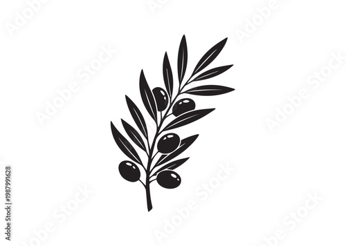 Olive Branch icon, Olive Branch Silhouette vector