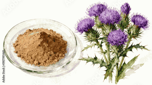 Botanical Powder and Herb Watercolor Milk Thistle and Herbal Powder isolated watercolor vector illustration svg
