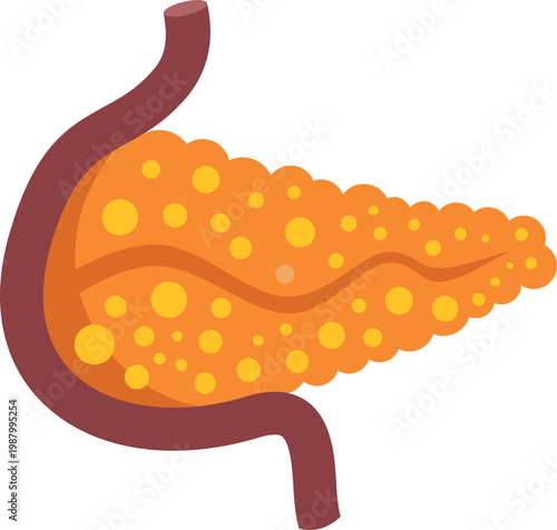 Pancreas organ illustrating human digestive and endocrine system functions on white background