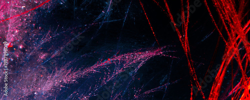 Neon Network Lines
Dark Energy Threads
Cyber Pulse Grid
Electric Web Glow