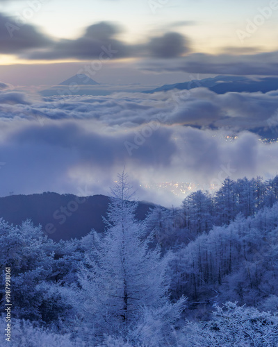 Breathtaking winter dawn landscape of frost-covered trees and a sea of clouds with city lights illuminated below Mount Fuji, Nagano, Japan