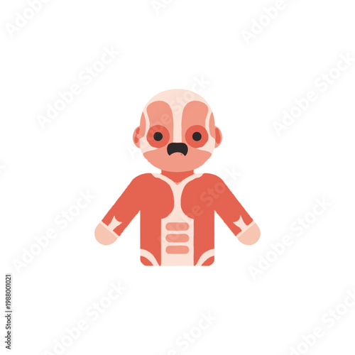 Stylized Human Anatomy Illustration: Muscular System, Torso and Arms