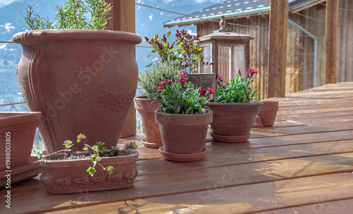 flowers and aromatic plants  potted  on the floor of a wooden terrace of alpine chalet  and mountain background