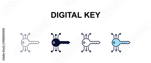 digital key  multi-style outline icon set - cryptocurrency concept. Thin line, regular, filled, colored digital key  icon