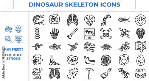 Prehistoric dinosaur skeleton and paleontology fossil line vector icons