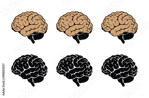 Six stylized brains, three in tan and three in black, arranged in two rows