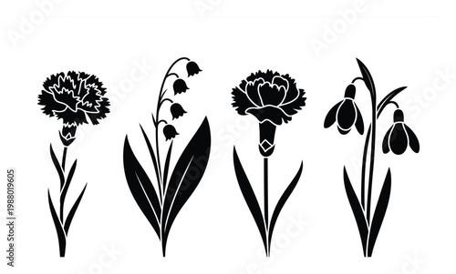 Black Silhouette of Carnations, Lily of the Valley, and Snowdrops