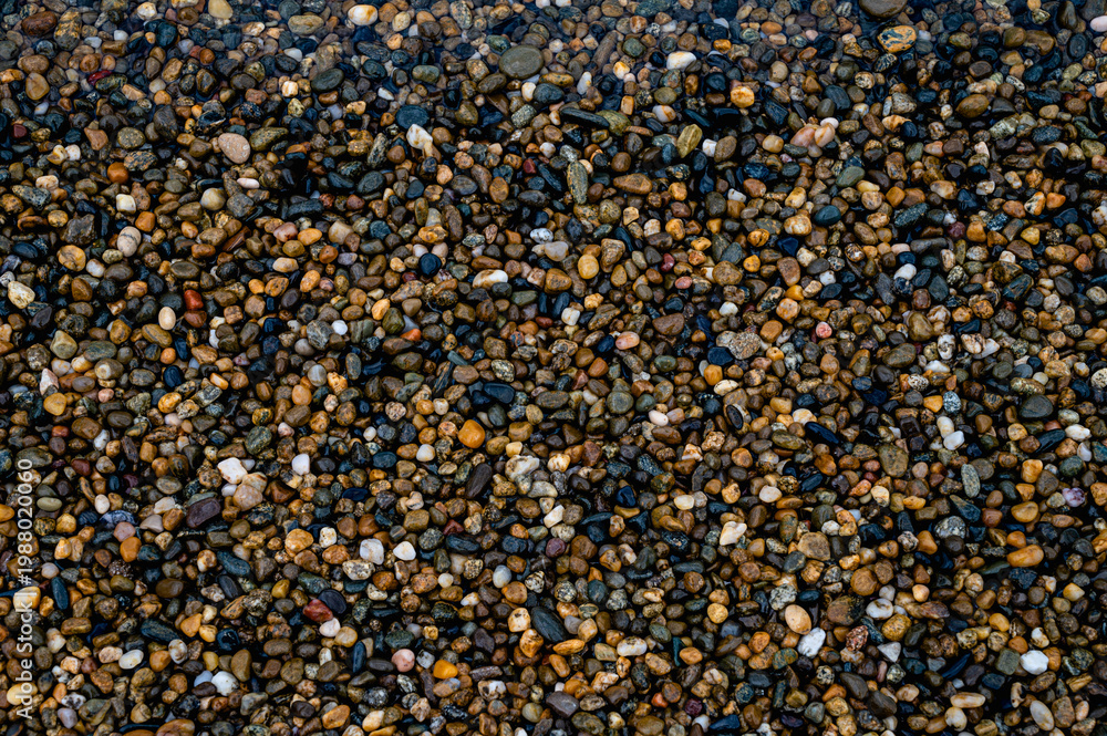 Fototapeta premium Wet colorful pebble stones on beach, macro texture background