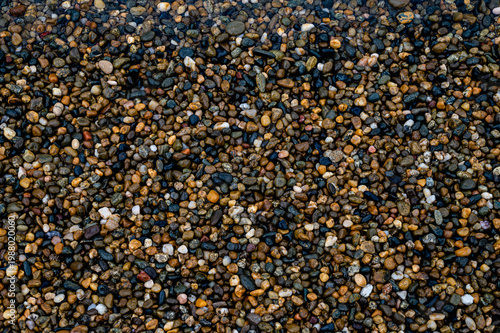 Wet colorful pebble stones on beach, macro texture background