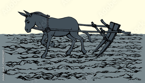 Vector drawing. Cute old mule