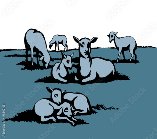 Vector drawing. Small sheeps lay at the field