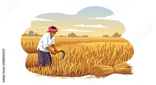 Against a clean background, an Indian farmer harvests rice in a golden paddy field using traditional agriculture techniques, showcasing rural farming in India with warm tones and a focus