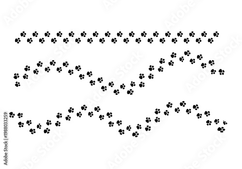 Conjunto de caminos formados por huellas de patas de animal en línea recta y ondulada