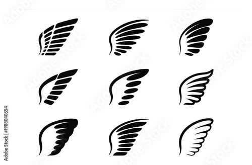 Collection of Black and White Wing
