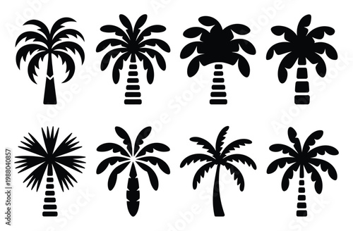 Collection of eight black silhouette palm tree on a white background